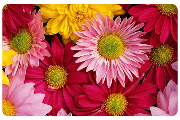 Big Bloom 23"x36" Mat