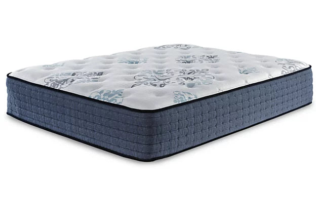 Bonita Springs Firm Queen Mattress